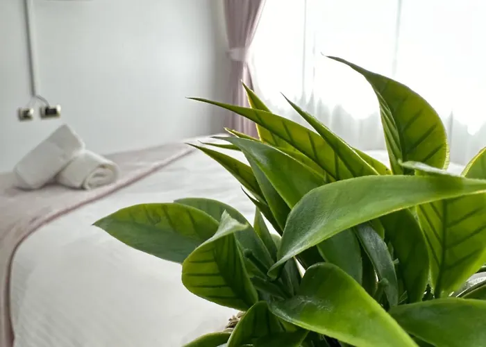 La Gigi Apartament Braszów